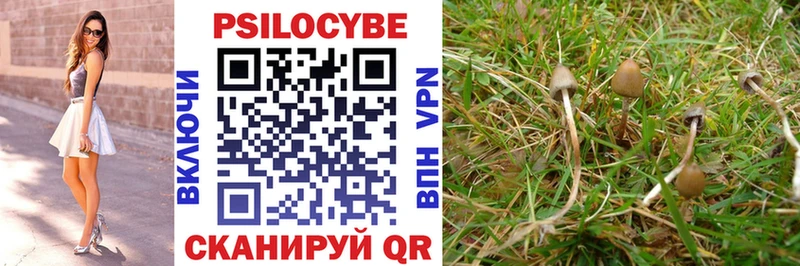 Галлюциногенные грибы Cubensis  Купить где  Арск 