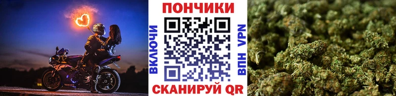 Марихуана план  Купить  Арск 